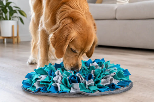 Snuffle Mat Guide for Happier, Calmer Dogs